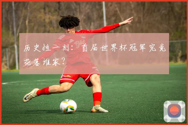 历史性一刻：首届世界杯冠军究竟花落谁家？