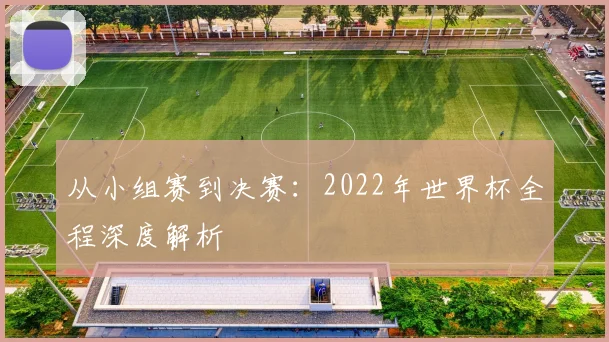 从小组赛到决赛：2022年世界杯全程深度解析