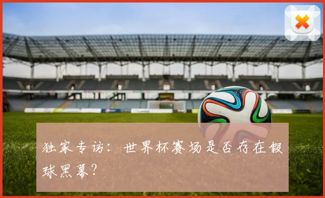 独家专访：世界杯赛场是否存在假球黑幕？