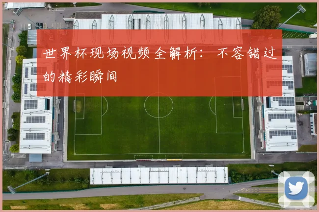 世界杯现场视频全解析:不容错过的精彩瞬间