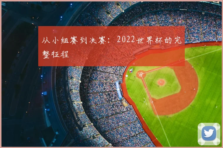 从小组赛到决赛：2022世界杯的完整征程