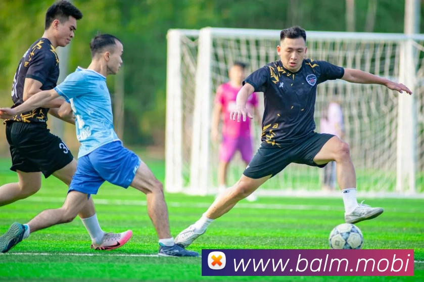 开云手机入口登录官网品牌故事