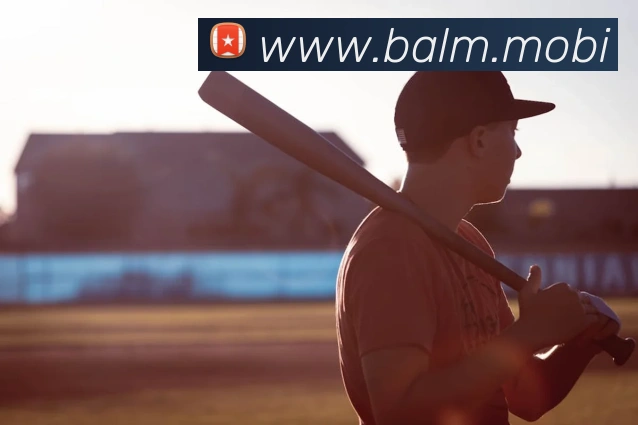 开云手机入口登录官网服务体系